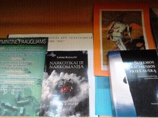 222_2nepriklpasirinkr2013