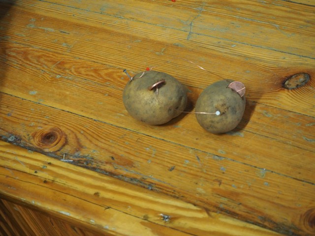 P4250661konfer25tarppilait2017