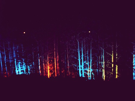 IMG_7146veronikosdarbai2013