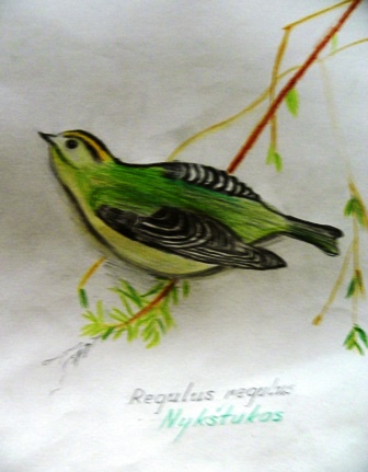 100_2970nykstukas2014