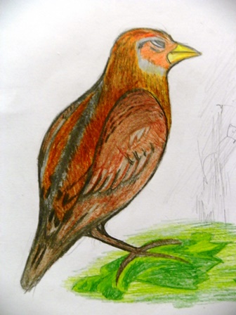 100_2979vieversys2014