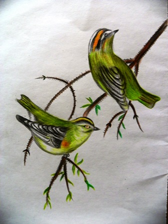 100_2982karaliukasnykstukas2014