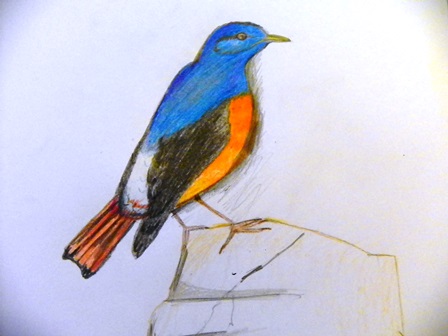 margasisakmeninisstrazdas2014