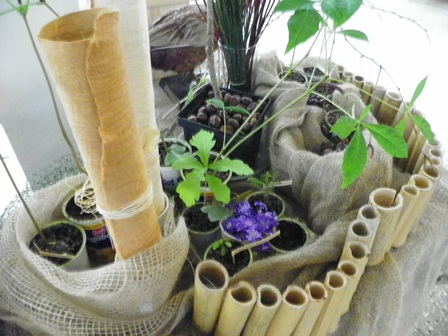 100_3004parodapasaulinediena2014