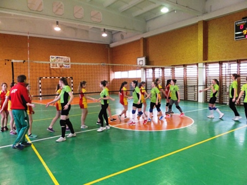 tinkl_merg_gimnaz2015_673