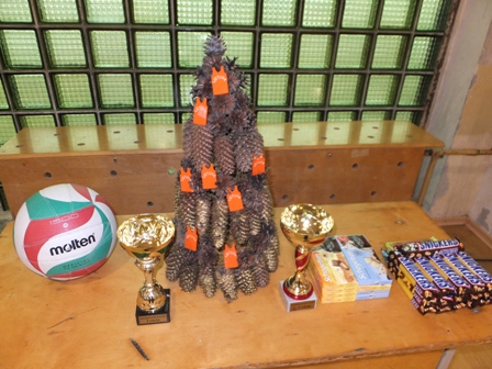 DSCF1249kaledvarzybblic2014