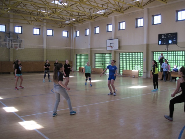 IMG_00101tarplastinklvarz2014