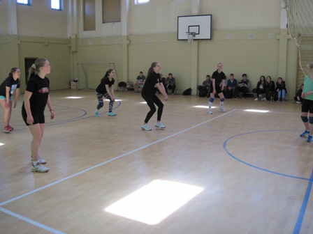 IMG_00181tarplastinklvarz2014