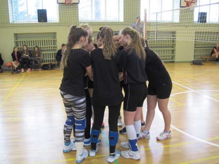 IMG_7318varztinklvilpil2014