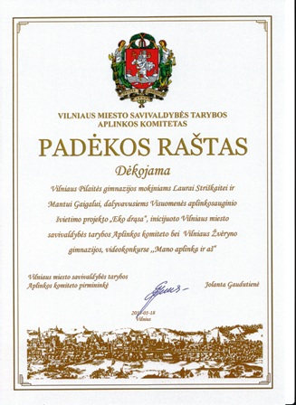 IMG_0011strikgaigalas2013