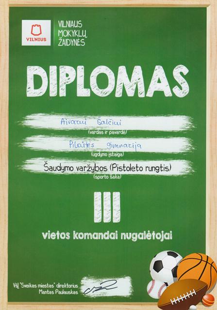 salciuiaivarui2017_001