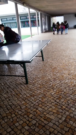 20170130_095704mokykloje