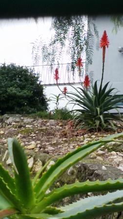 20170130_144453MOKYKLOJE