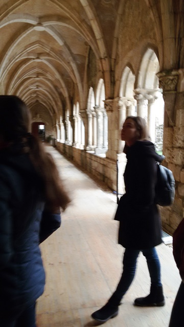 20170203_102657vienuolyne2017