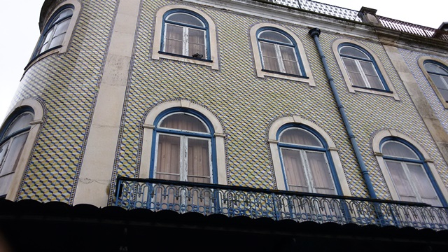 20170203_111206plyteles2017