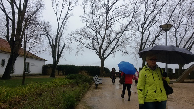 20170203_123035pilies2017