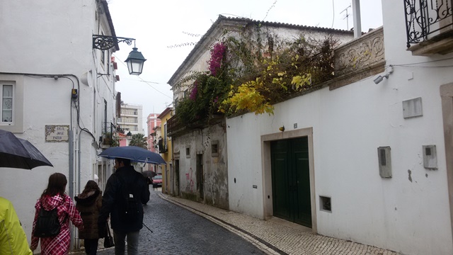 20170203_124327gatve