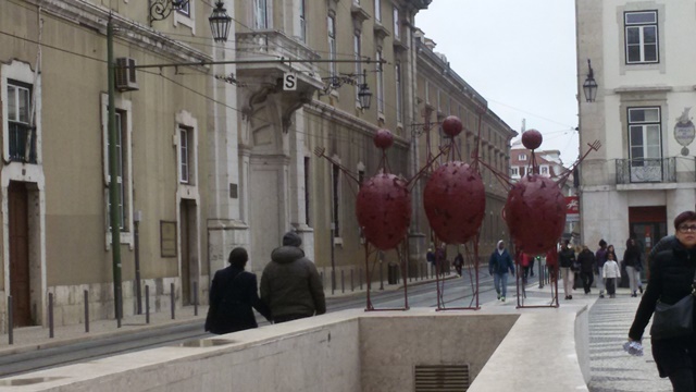 20170204_152603lisab2017