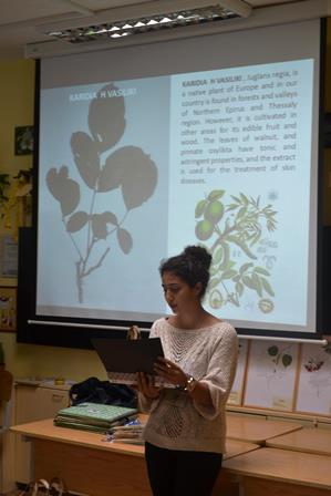 graikija2herprist2013