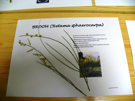 ispanija1herprist2013