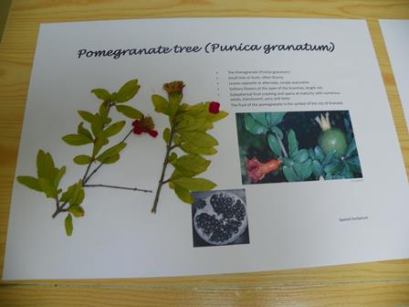 ispanija2herprist2013