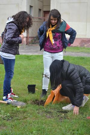 Bulgaria3_1997x2995.sv