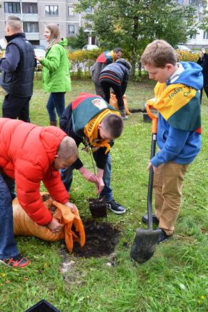 England1_1997x2995.svjpg