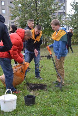 England2_1997x2995.sv
