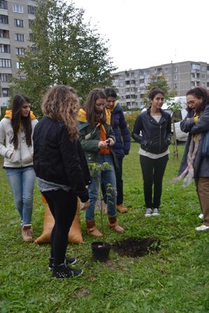 Greece1_1997x2995.sv