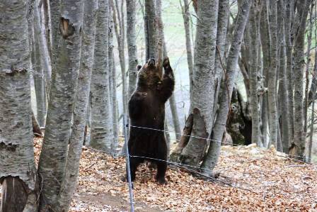 10001466kelionegraikijon2014