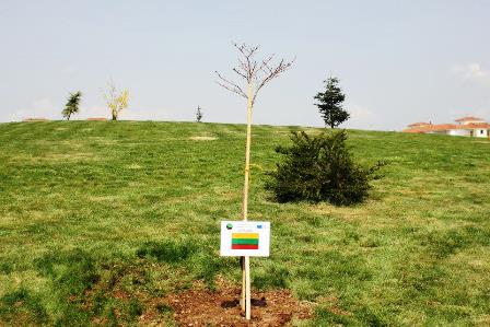 10151421kelionegraikijon2014