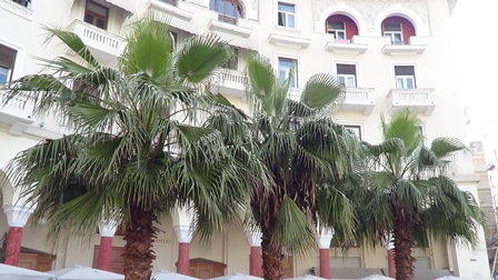 DSC02228DSC02316graikijoje2014