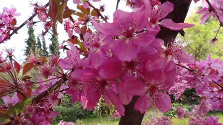 DSC02279DSC02316graikijoje2014