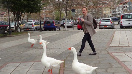 DSC02484DSC02430elionegraikijon2014