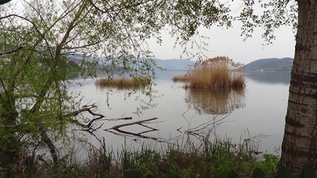 DSC02509DSC02430elionegraikijon2014