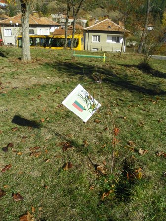 100_2503kelionebulgarija2013