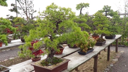 DSC01620darbenai2013