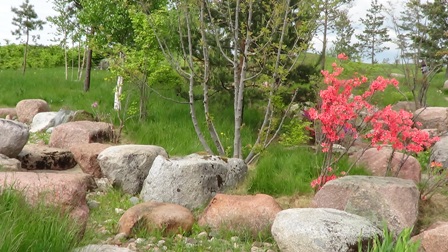 DSC01647darbenai2013