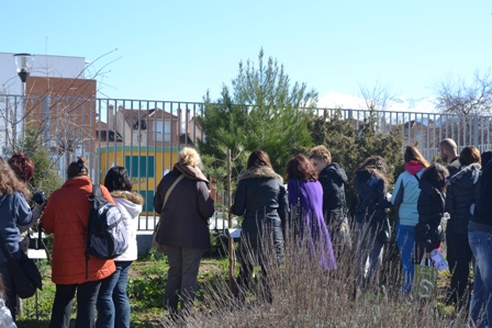 DSC_0315granada22013