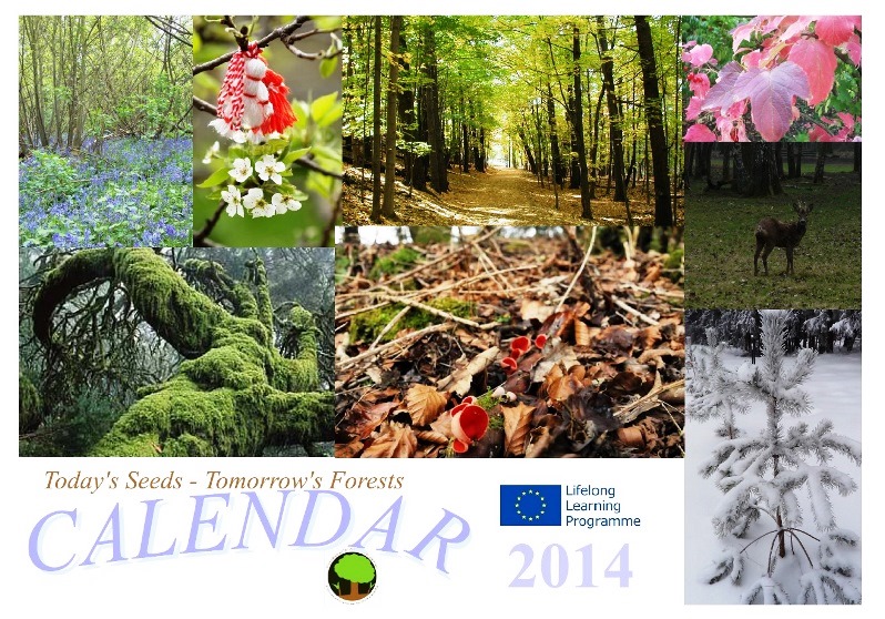 kalendor2014virselis