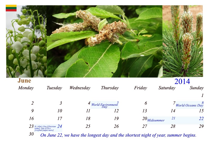 kalendorius2014birzeli