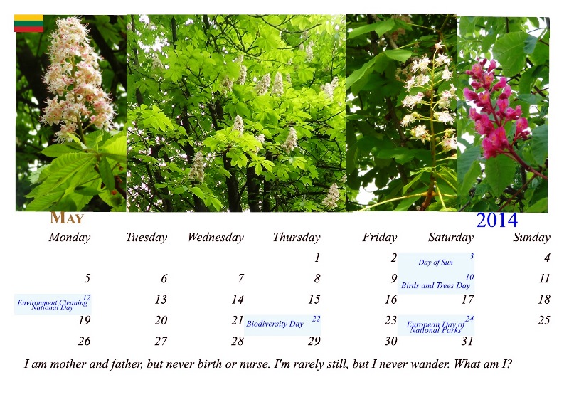 kalendorius2014geguze