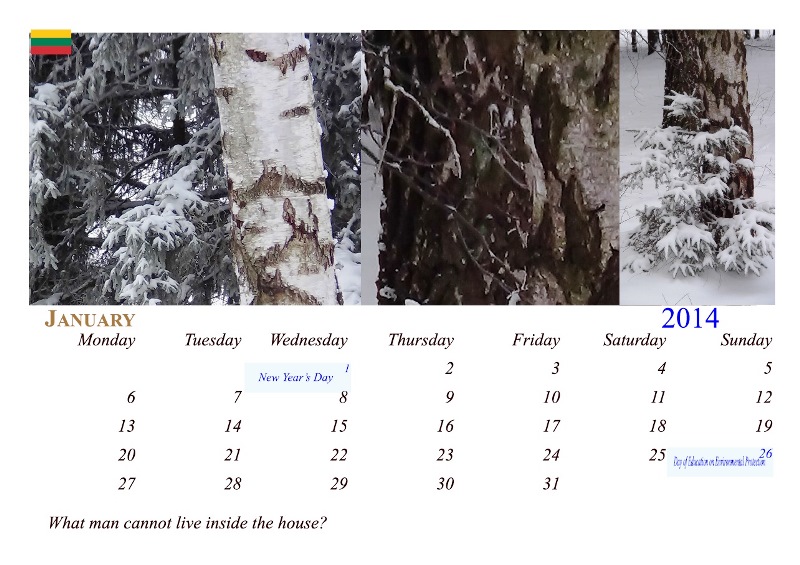 kalendorius2014sausis