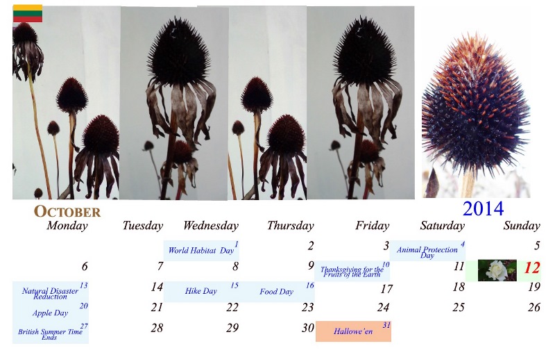 kalendorius2014spalis