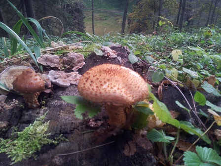 20121012_175159minavicius