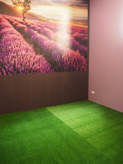 P4240120muz2konfer2017