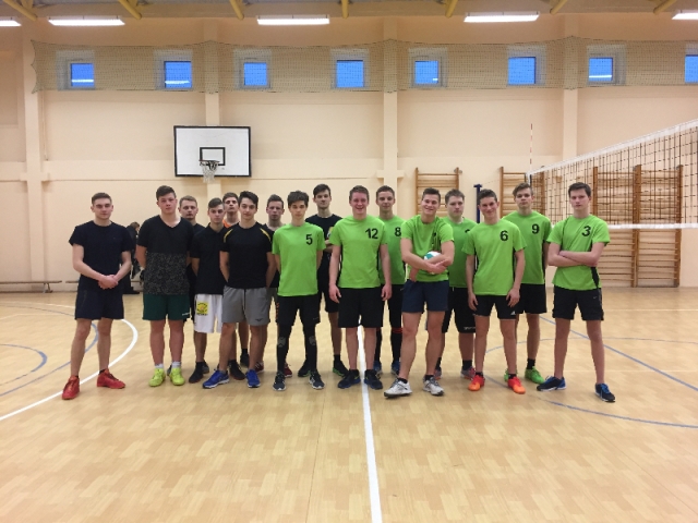 IMG_1364virgatinklinis2017